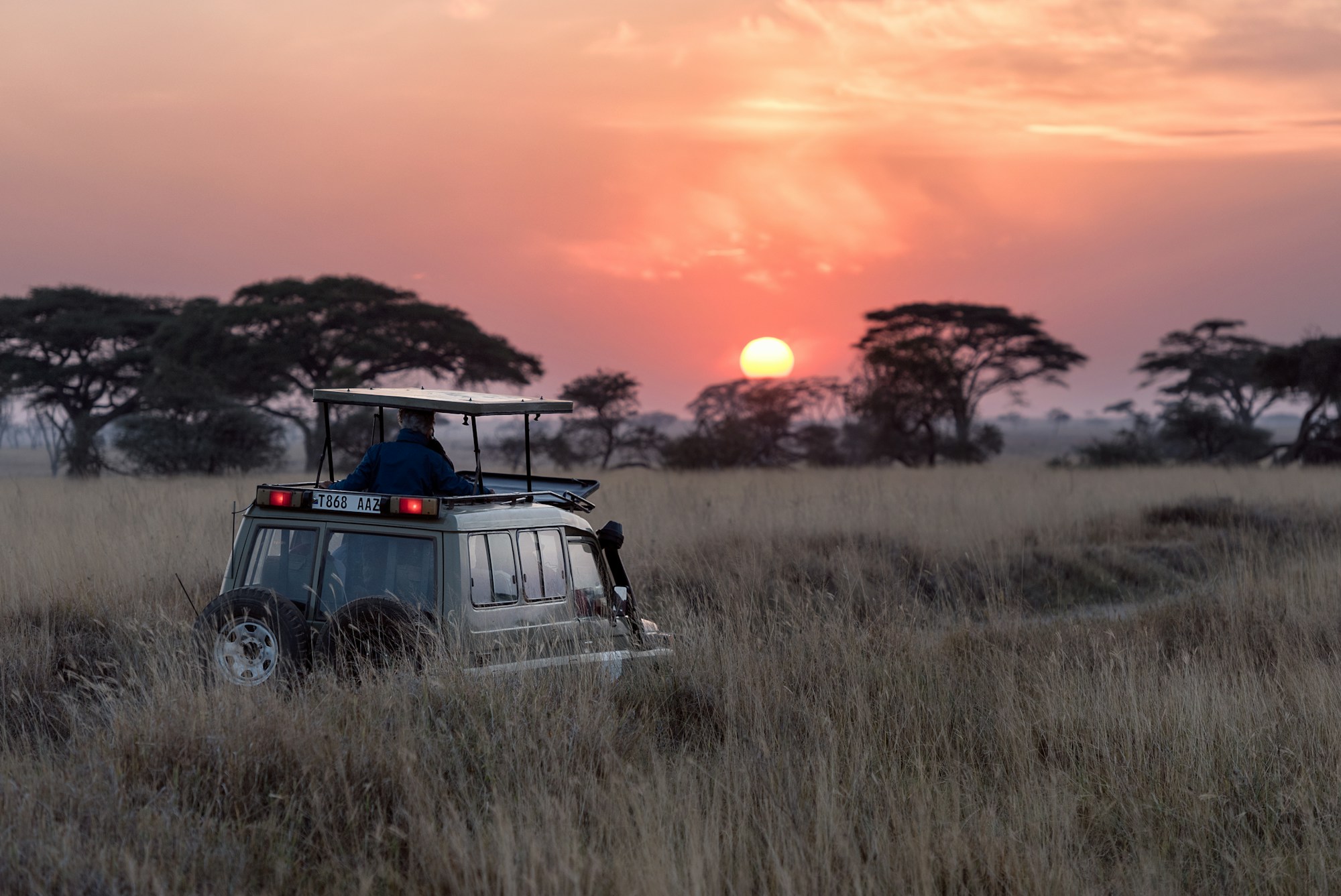 East Africa landscape