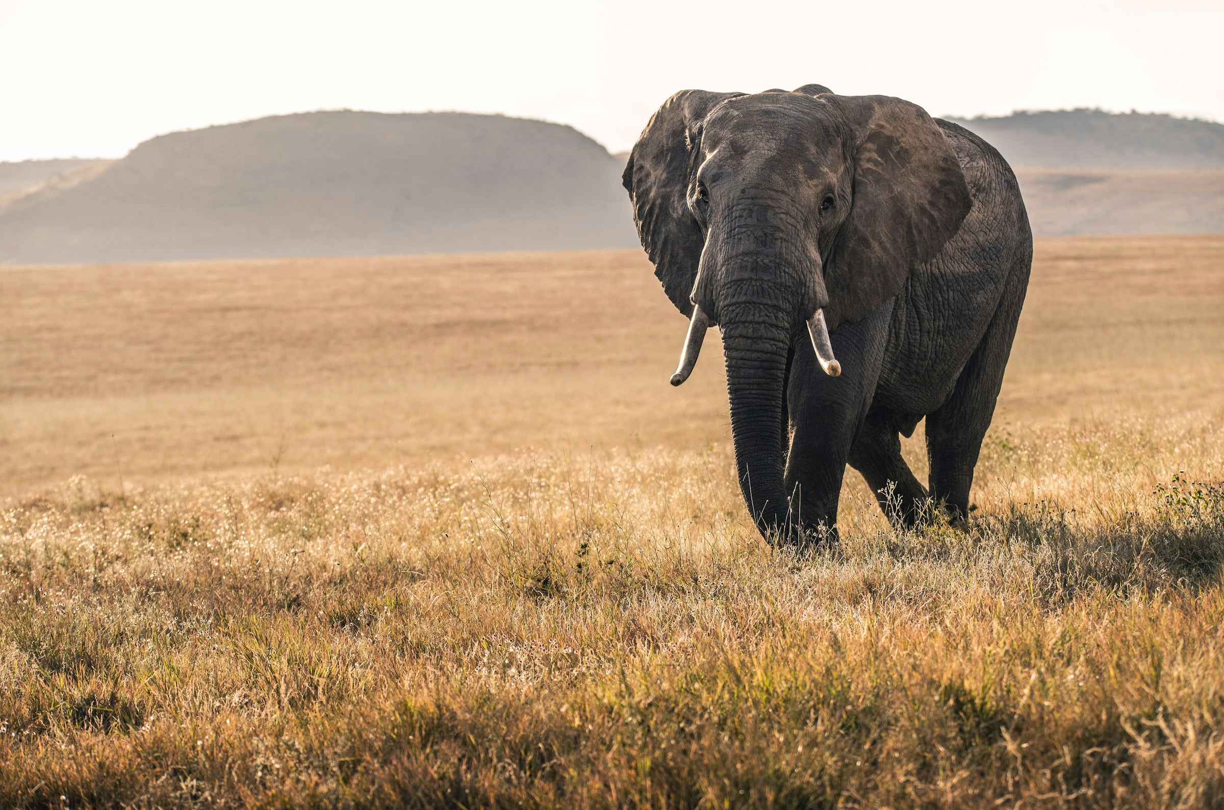 Samburu, Kenya